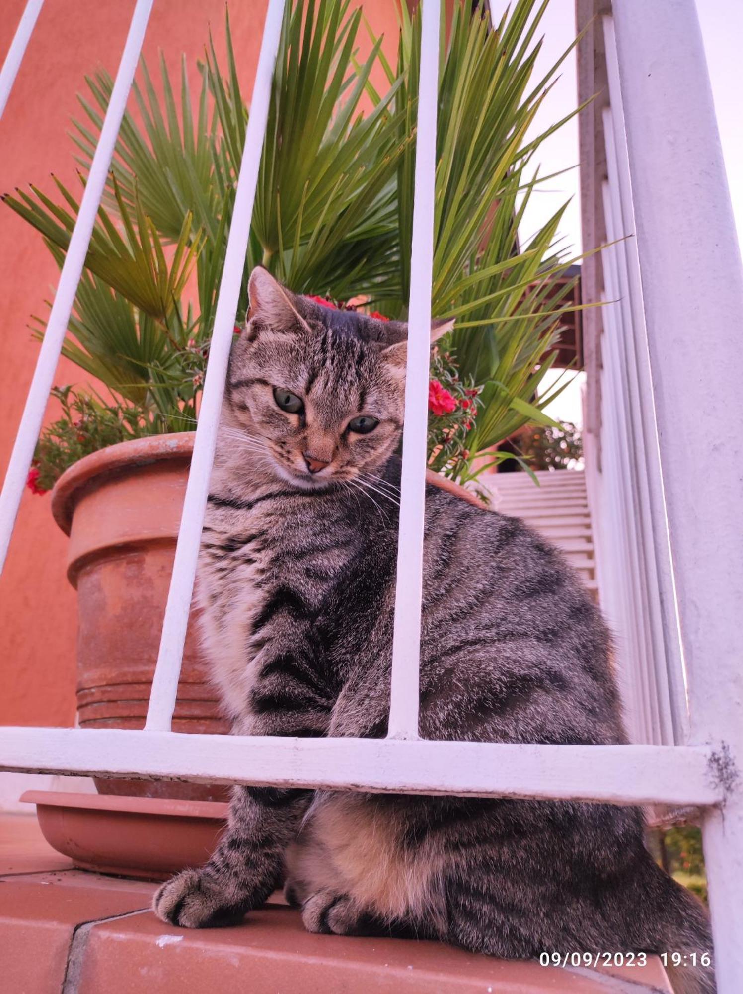 Casapatrizia B&B Sirmione Bagian luar foto